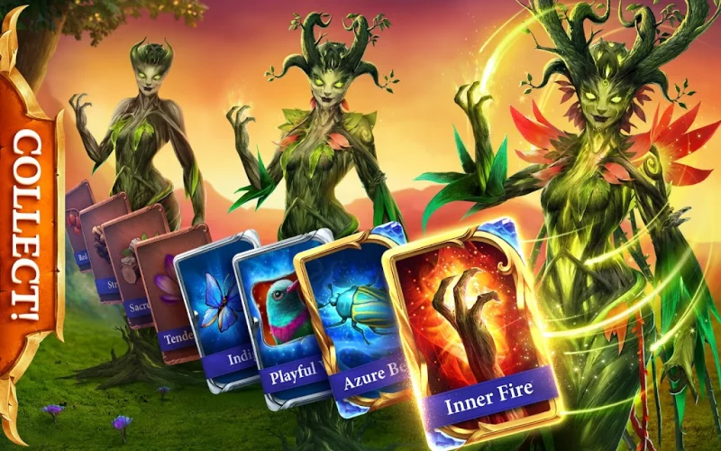 7m tỷ lệ - soi kèo kubet